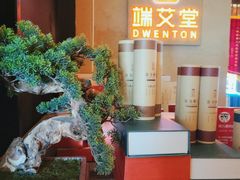 -端艾堂·SPA·艾灸(棕榈泉013店)