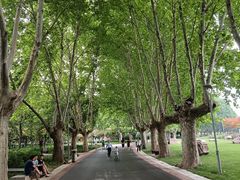 -郑州植物园
