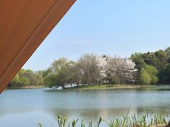 -梁鸿国家湿地公园