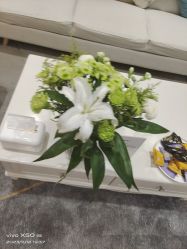 -HEYAN长风荷妍专业脱毛美肤
