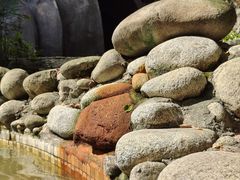 -三江森林温泉度假区