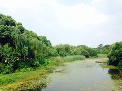 iphone_upload_pic-蠡湖中央公园
