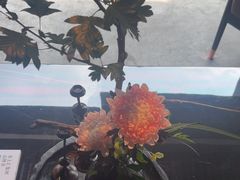 -曲水兰亭(北京四惠店)