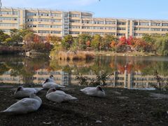 -大连外国语大学(旅顺校区)