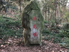 -上海佘山国家森林公园天马山园