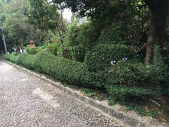 -东望洋炮台东望洋灯塔