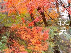 -光雾山旅游景区