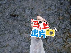 -羊山湖公园
