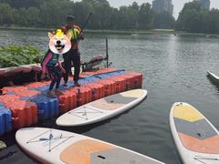 -WhaleSports户外水上运动俱乐部(朝阳公园店)