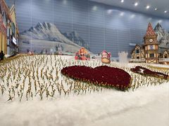 -广州热雪奇迹