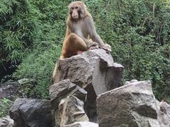 -杭州动物园