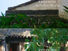-乌镇西栅景区