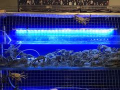 水产区-虎虎龙虾大排档(双井店)