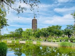 -西海子公园