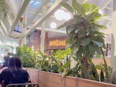 -Seesaw Coffee(上海太阳宫K46店)