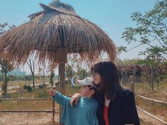 -茯茶镇