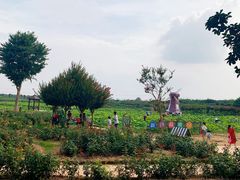 -武汉紫薇都市田园