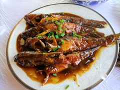 红烧昂刺鱼-洞天食府(北大街店)