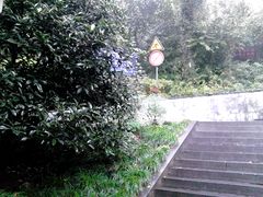 景点-上海佘山国家森林公园西佘山园