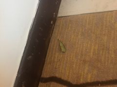 -香港铜锣湾皇悦酒店