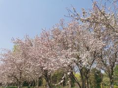 -元大都城垣遗址公园