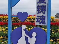 -荷兰花海