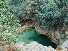 -南海湾森林生态园