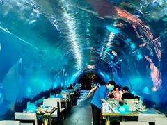 -海棠湾洲际-涛·海底餐厅·美人鱼·自助餐·海底隧道