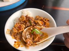 -陈麻婆豆腐总店