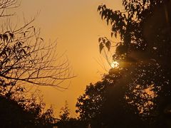 -杭州半山国家森林公园