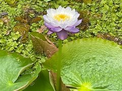 -云溪植物园