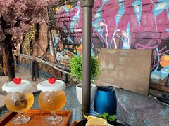 -柴犬高等学院·狗咖·柴犬售卖·宠物训练