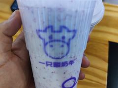 -一只酸奶牛(群光店)