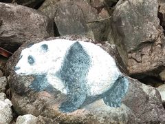 -九龙江国家森林公园