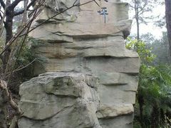 -铁山坪森林公园