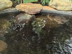 -七彩云南古滇温泉山庄