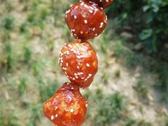 糖油果子-邓记新一代糖油果子(四川煤管局供销公司职工宿舍店)