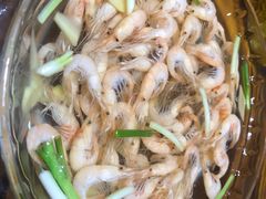 -呼吸森林·生态农庄农家乐私房菜