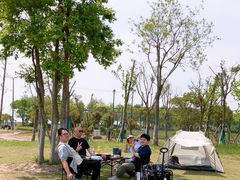 -春花秋色城市公园