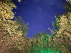 -森波拉火山温泉