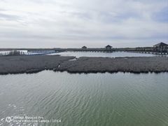 -南大港湿地风景区