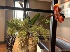 -集品堂·JPC餐厅(青年大街市府店)
