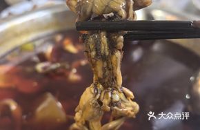 Spicy Rice Field Frog