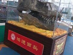 -诸城市恐龙博物馆