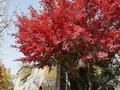 -句容茅山景区