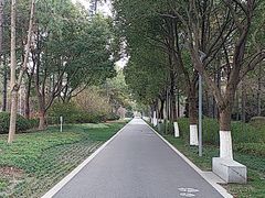 -昆山城市生态森林公园