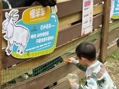 -广州锦绣香江度假别墅