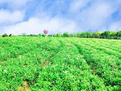 -歌斐颂巧克力小镇