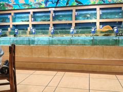 -香顺·客家菜(东坑店)