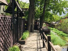 -Local泰莲庭(虹鳟鱼店)
